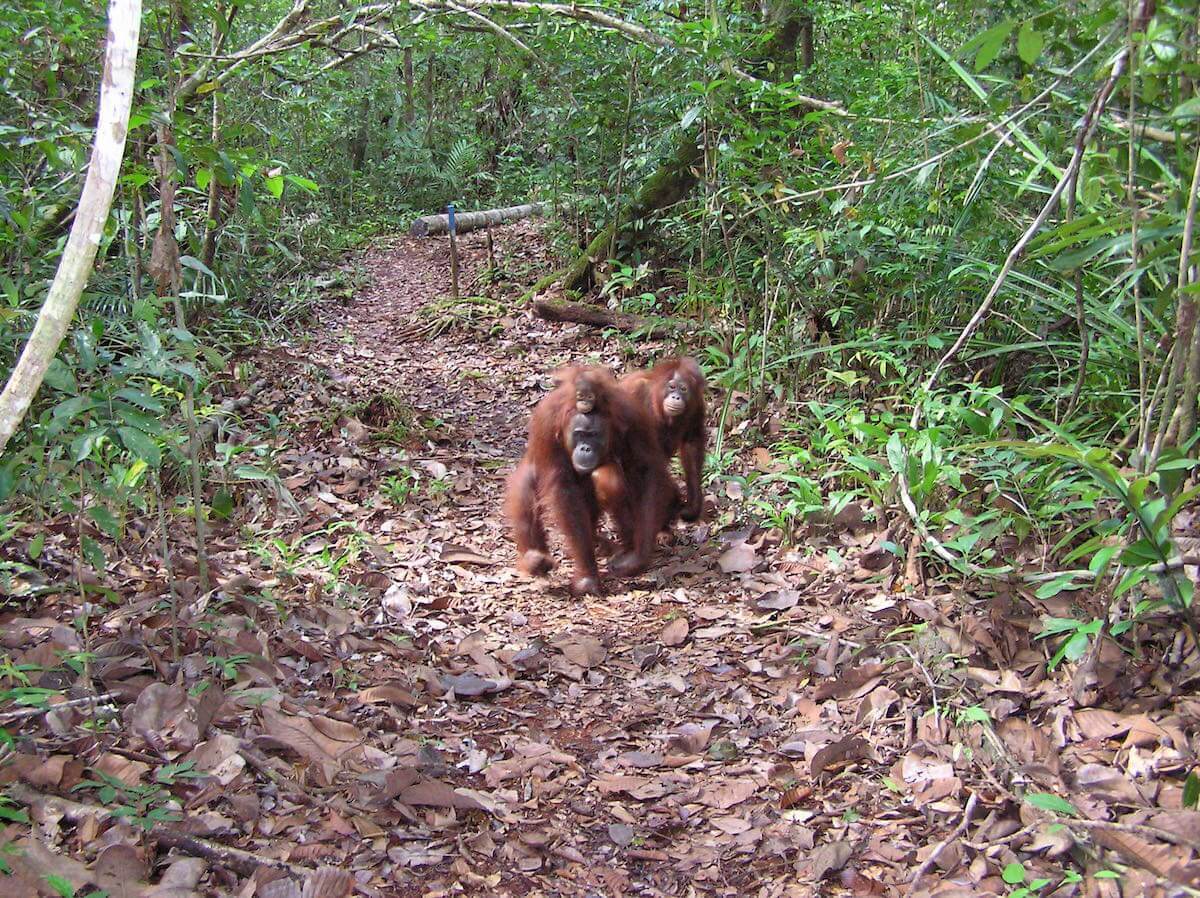Un país lleno de aventura | Viajes Planeta Azul